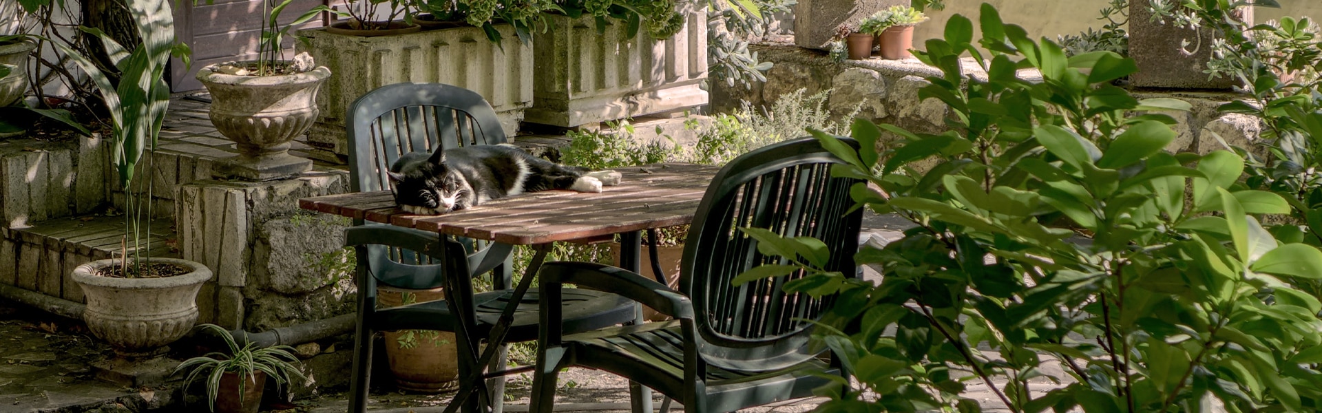 How to Become a Garden Designer