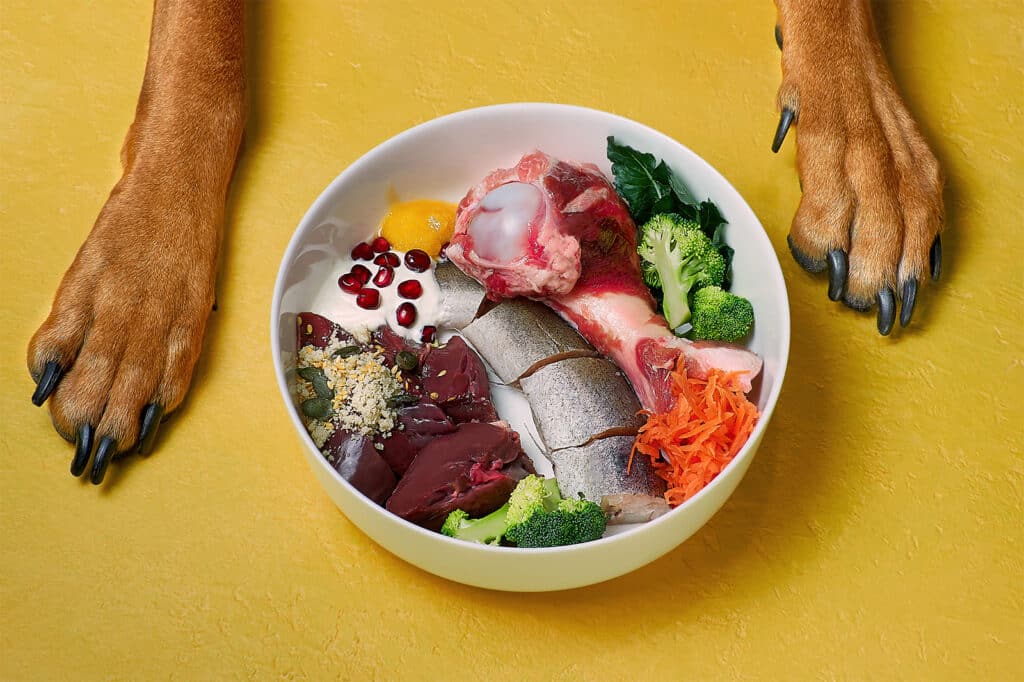 A healthy bowl of foods like fish and carrots with a dog's paws showing in the image.